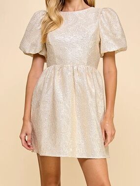 TCEC Textured Metallic Dress From Online Boutique 105 Mulberry Square